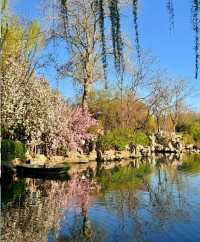 濟南五龍潭公園，靚到突破天際啦！原圖直出嘅春日盛宴