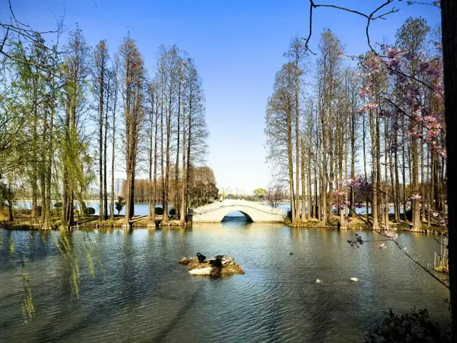 3월 우시 타이후 위엔터우주 여행 가이드