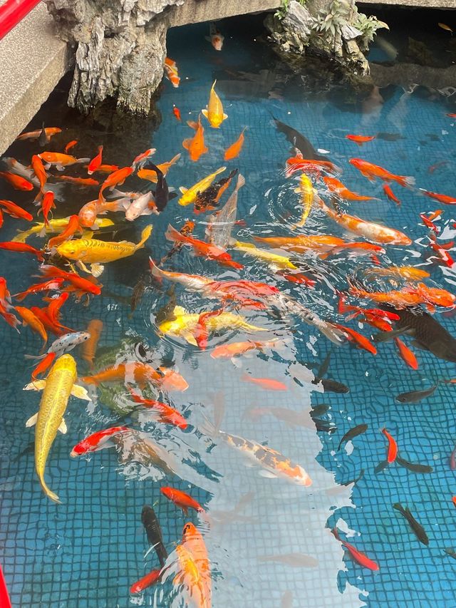 韶關等地12日遊｜保姆級指南 行程不踩雷