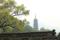 寧波尋春，免費又幽靜的天童寺簡直不要太美