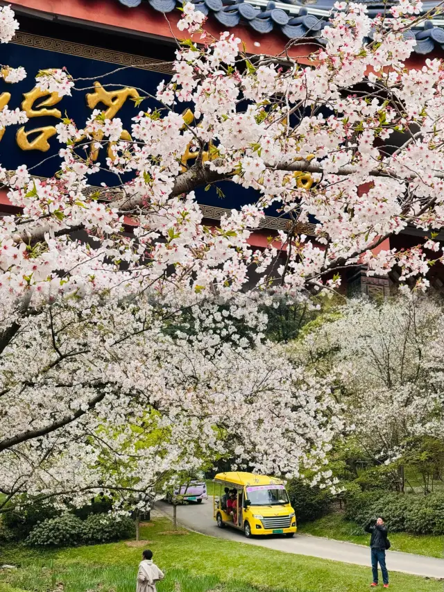 2025년 우시 위안터우주 여행 안내