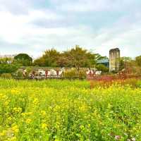 🌼深圳隱藏版復古田園文藝地圖🌼