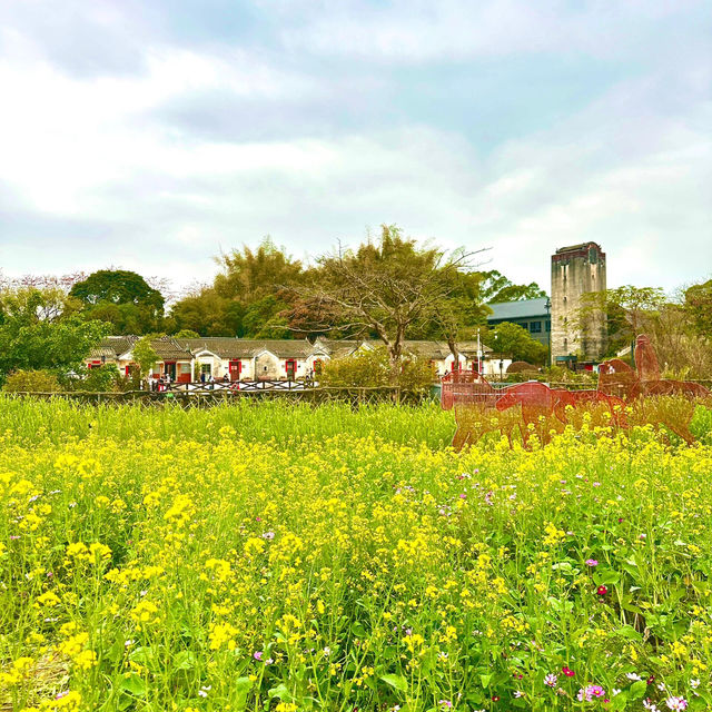 🌼深圳隱藏版復古田園文藝地圖🌼