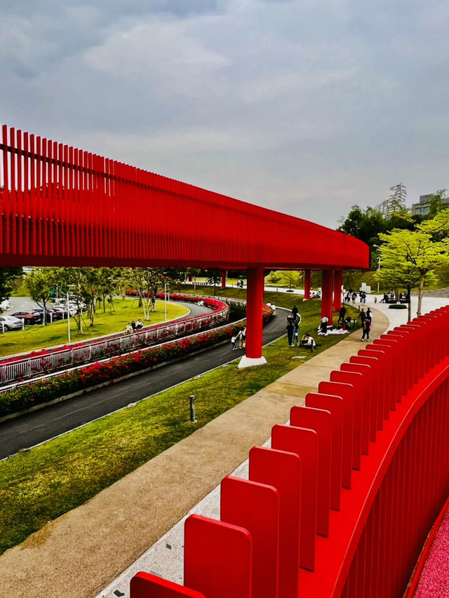 深圳最美的虹橋公園！！