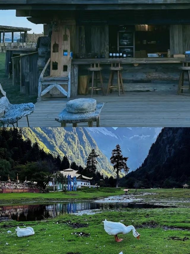 入住雨崩夢幻之境野語YEYU雨崩野景酒店