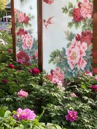 西安賞花遊興慶宮鬱金香花海太美了