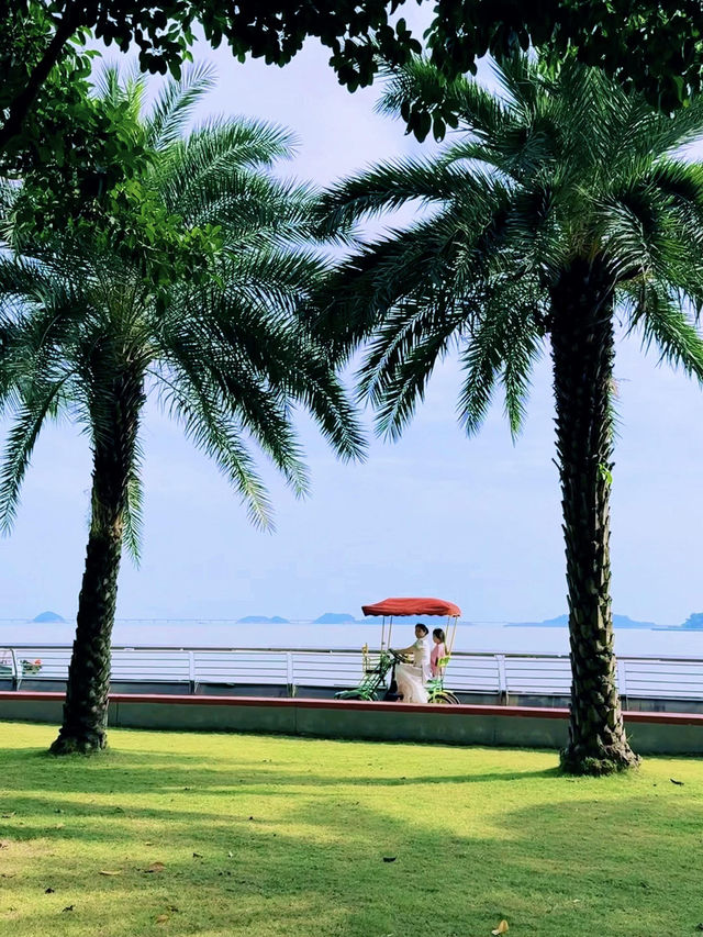  珠海野狸島：海上明珠勝境