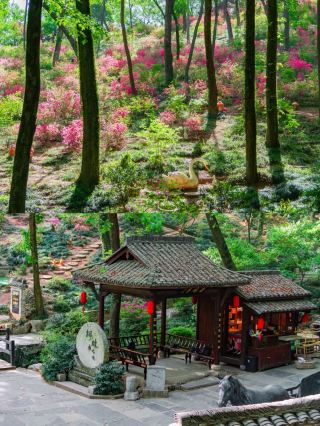 훙춘이 아름답다고 생각했는데, 여기 와보니 생각이 바뀌었어요…