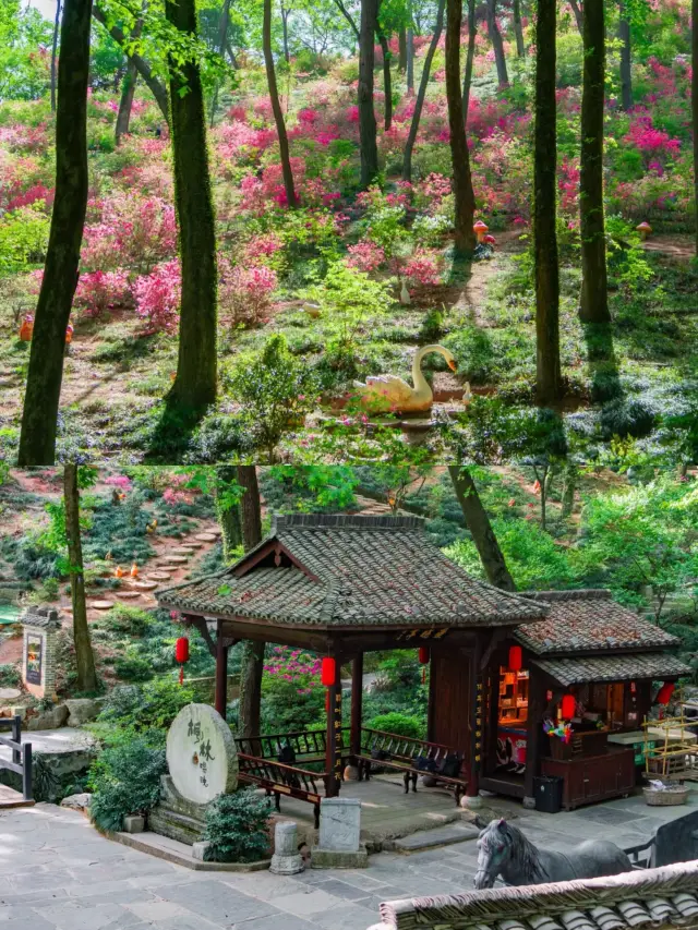 我以為宏村已經夠美了，直到我來到這…