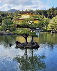 京都經典全景一日遊，輕鬆暢玩推薦攻略
