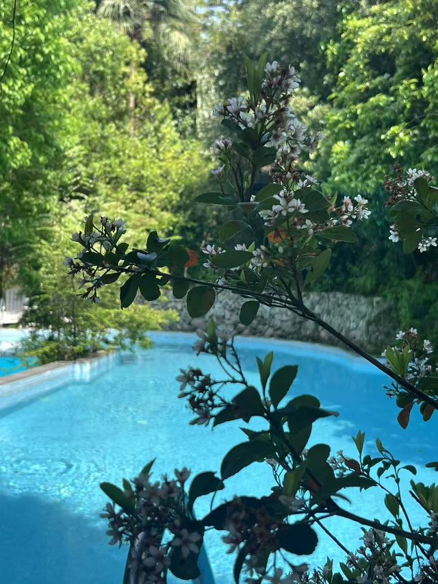 五一必住仙都景區旁的"景台隱墅"