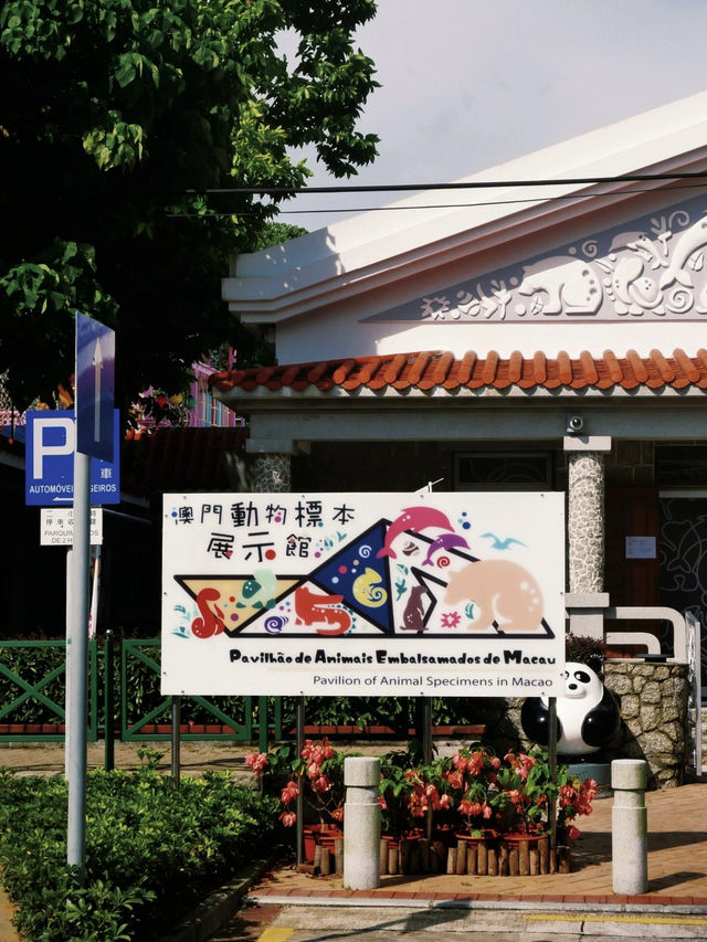 澳門路環 | 尋覓遺世獨立的漁村浪漫
