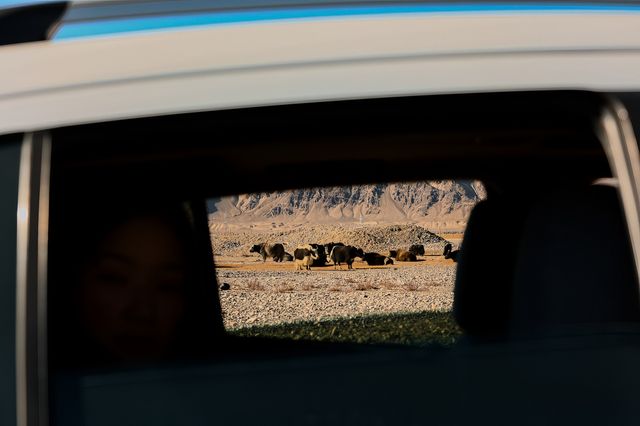 車窗外|奔馳在自由的坦途