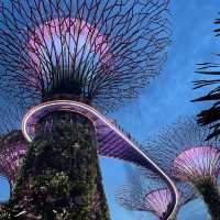 🇸🇬新加坡濱海灣花園保姆級行程｜沉浸式擁抱自然與科幻感💫