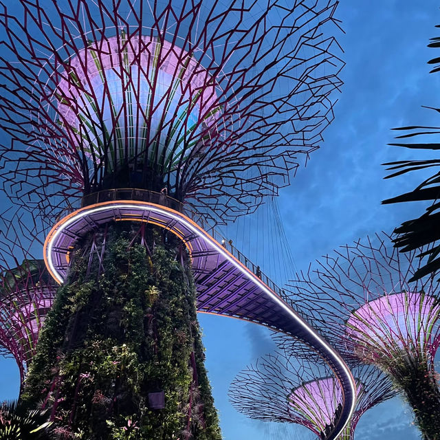 🇸🇬新加坡濱海灣花園保姆級行程｜沉浸式擁抱自然與科幻感💫