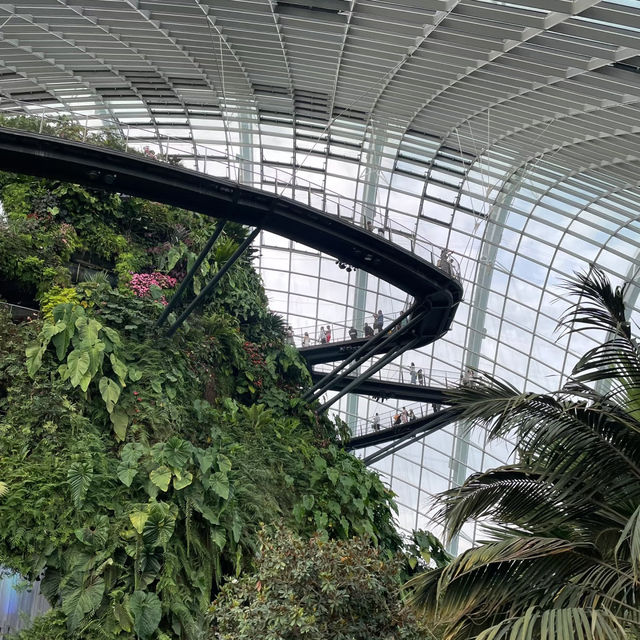 🇸🇬新加坡濱海灣花園保姆級行程｜沉浸式擁抱自然與科幻感💫