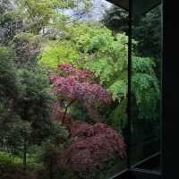 🌧️雨天限定的根津美術館｜在綠意與歷史間尋得寧靜