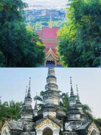 在北緯21°遇見地球本來的樣子——西雙版納