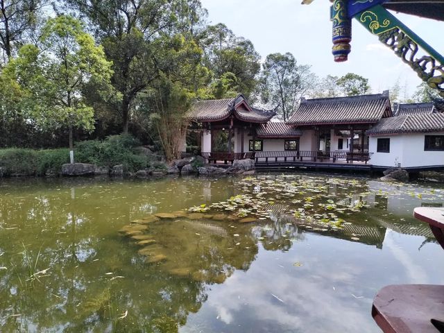 打卡古風園林，感受傳統韻味！