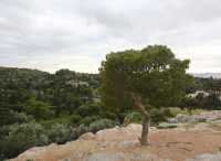 4月好去處｜Areopagus Hill