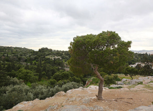 4月好去處｜Areopagus Hill