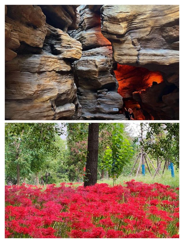 上海必去！呢個公園承包你所有快樂！