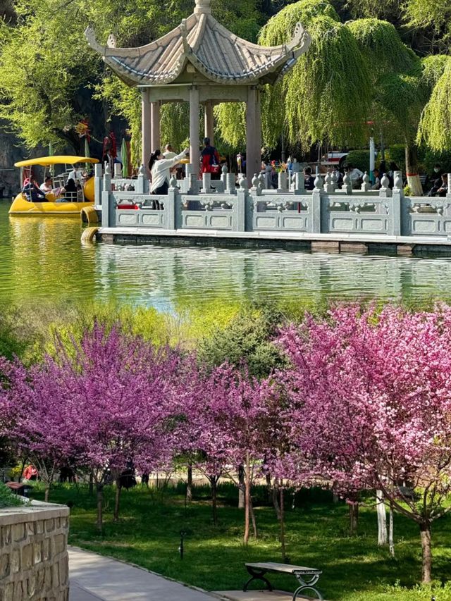後悔冇早啲去！紅山公園真係太正啦