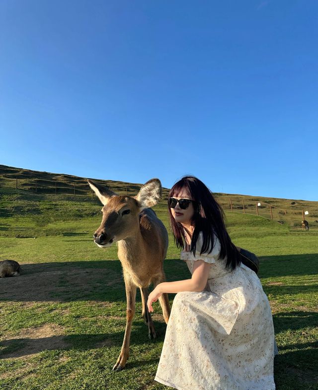 湖南郴州｜兩天一夜旅行詳細攻略來了！