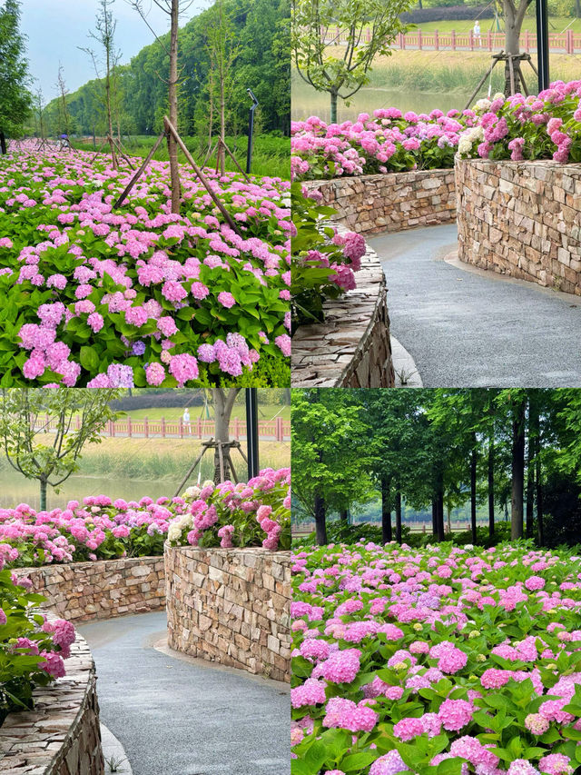 情侶約會擁抱花與海濱江森林公園