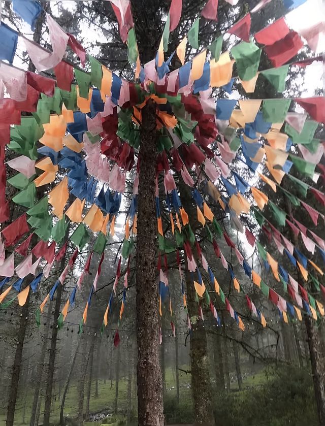 神木壘：川西秘境嘅自然與人文交響詩