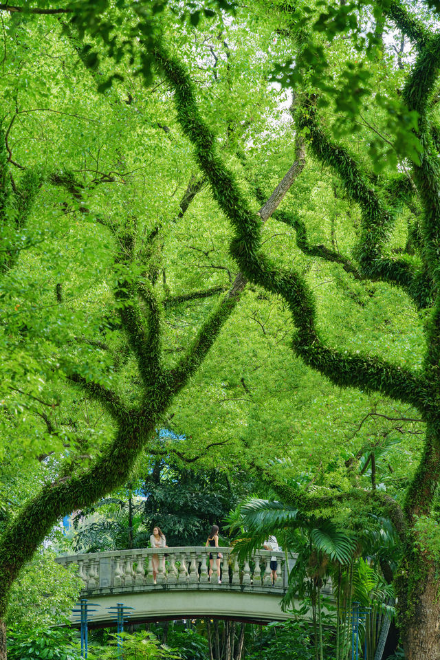 佛山真係好chill…願意去一萬次嘅生命力公園