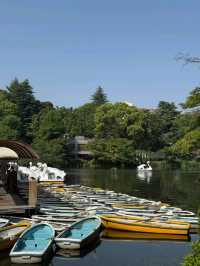 東京吉祥寺交通攻略｜邂逅宮崎駿筆下的初夏浪漫