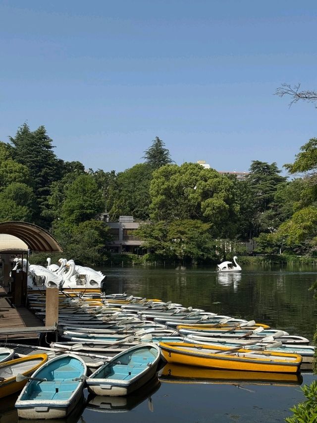 東京吉祥寺交通攻略｜邂逅宮崎駿筆下的初夏浪漫