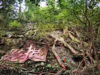 青城山旅行攻略|道教聖地與自然奇觀的完美交融