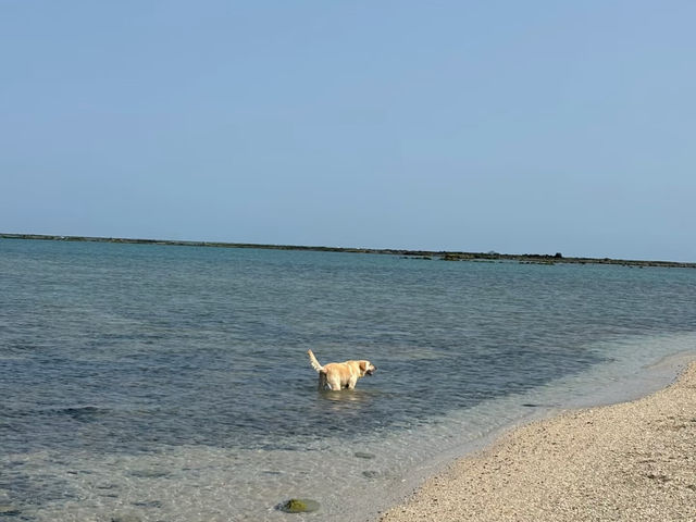 澎湖列島真係靚到癲啊🌊  