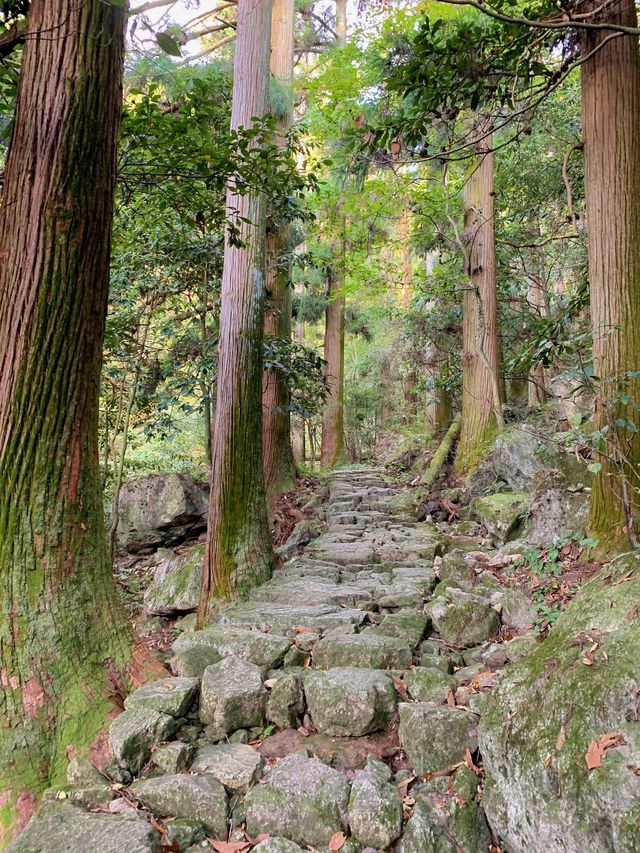 避暑勝地｜入住泰式詩意嘅天目山都喜天麗酒店