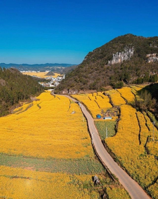 旅遊打卡4日 雲南第二大城市 曲靖 遊玩攻略