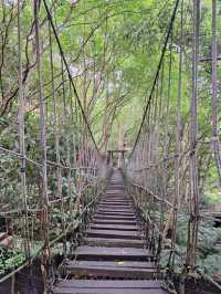 台北週邊🌿大板根森林溫泉渡假村探秘