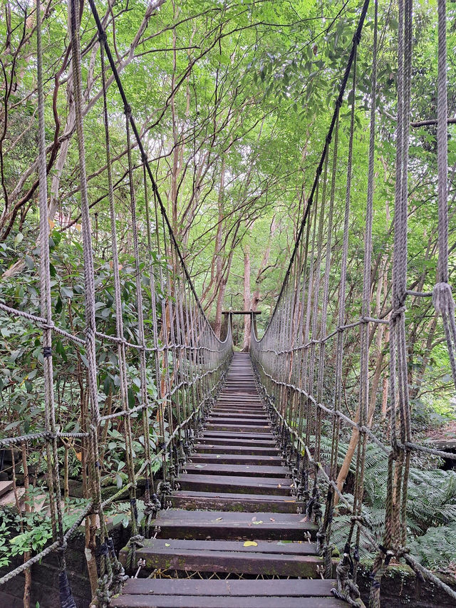 台北週邊🌿大板根森林溫泉渡假村探秘