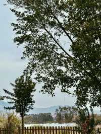 在繁華之外泡一場療癒之湯—深圳湯崎湯泉生活
