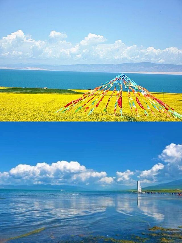 青海湖6月旅行全攻略 | 邂逅高原藍寶石與金黃花海