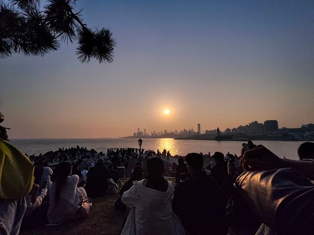 青島小麥島 1 小時打卡攻略地點與交通