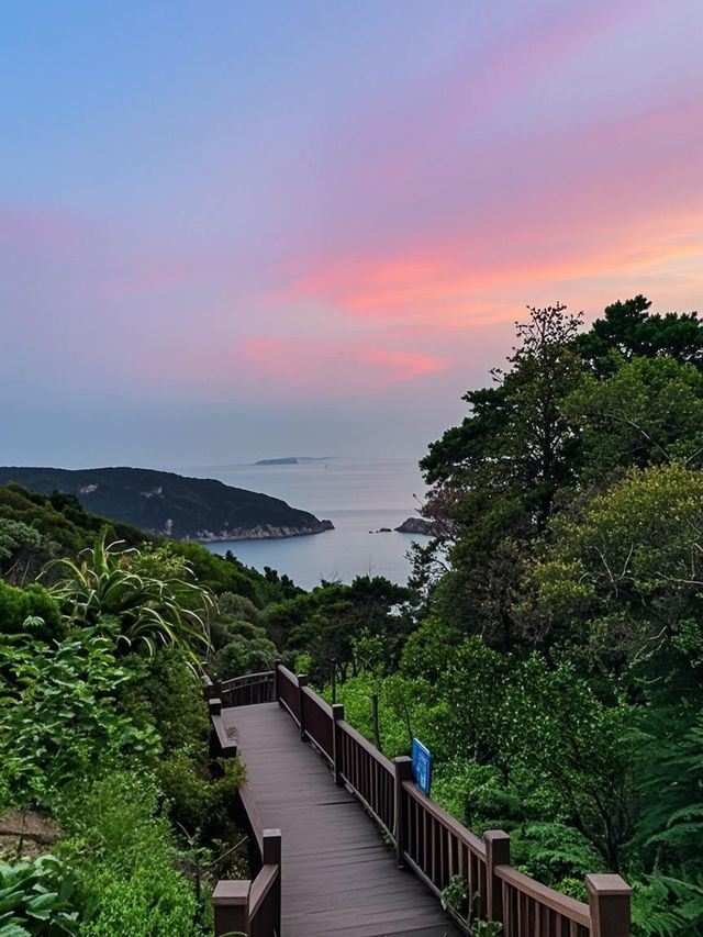浙江隱藏地圖！帶娃闖入6元海島宮殿下捕魚 漁網撈到彩虹水母