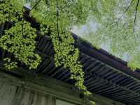 #京都三千院