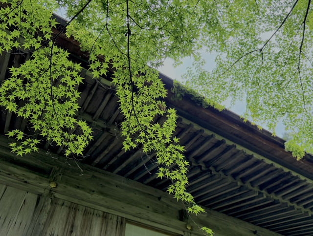 #京都三千院
