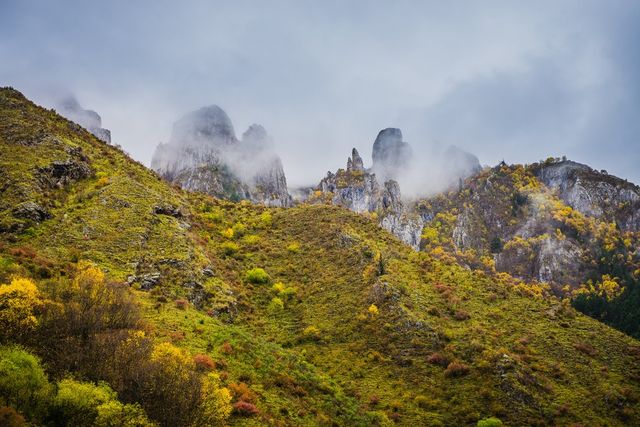甘南大峪溝 | 邂逅人間淨土，探秘小眾寶藏地