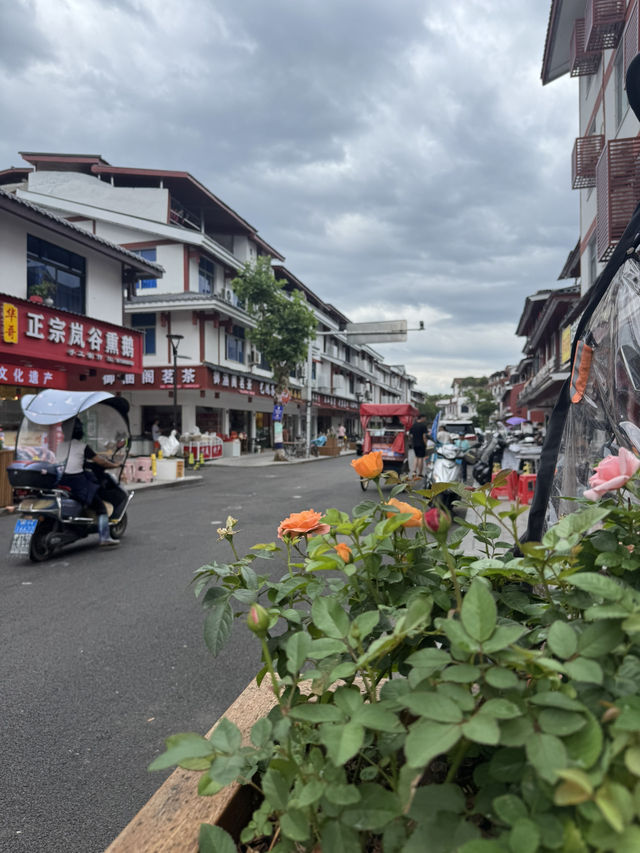 Wuyi Mountain: A Rain-Soaked Journey Full of Quiet Beauty