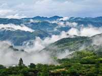 杭州出發半小時 江浙滬天選後花園