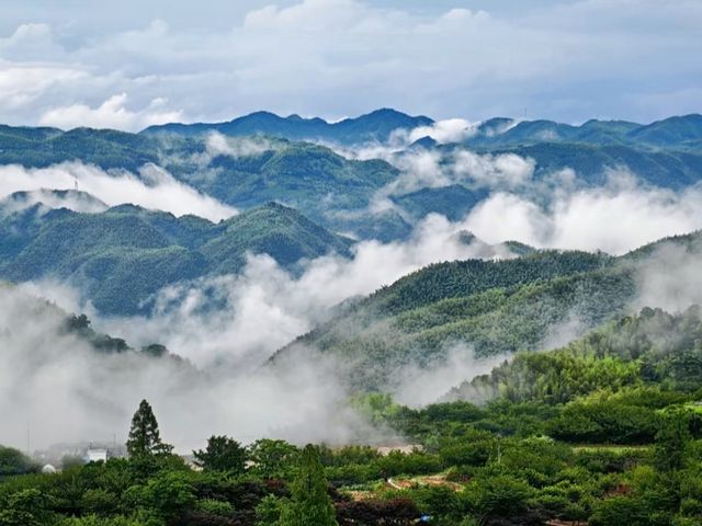 杭州出發半小時 江浙滬天選後花園