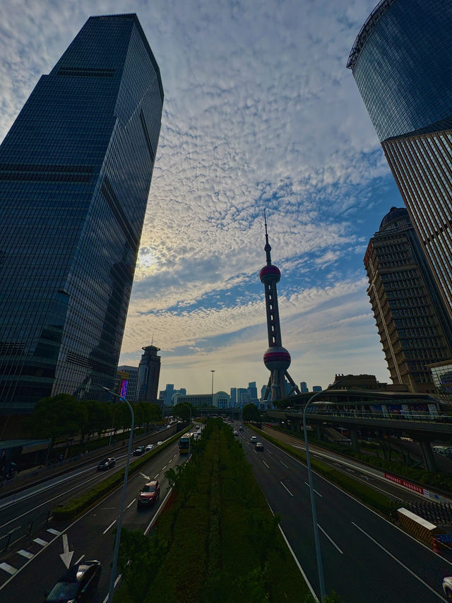 Shanghai Downtown 
